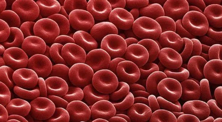 Anticuerpo previene trombosis sin riesgo de hemorragias
