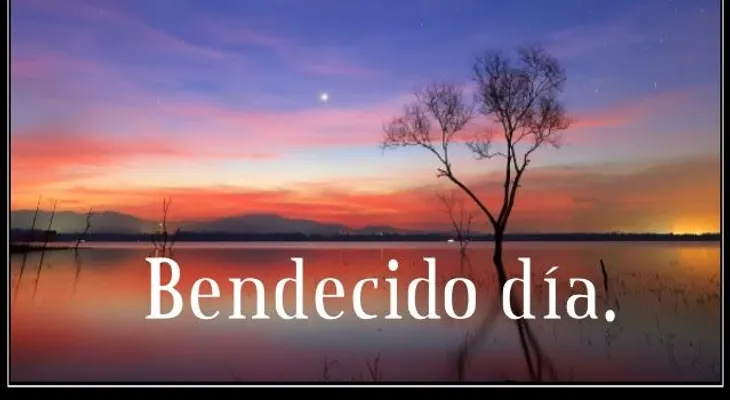 Hoy es día de bendecir: Te bendigo a ti, bendigo tu corazón y tu vida