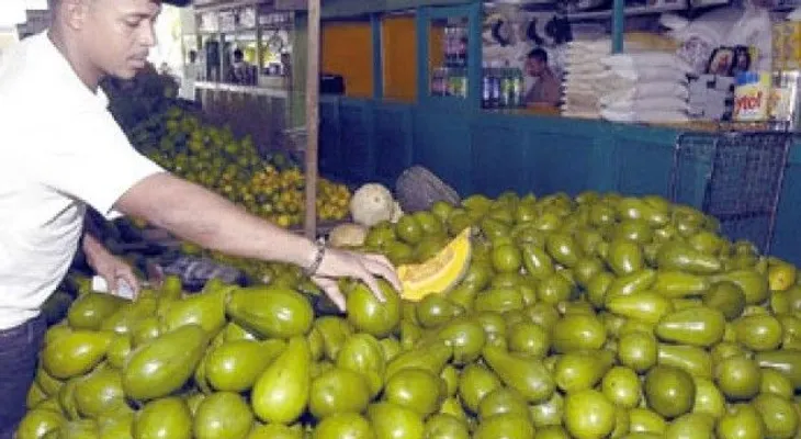 Aguacates de RD serán comprados por Canadá luego de veda USA 