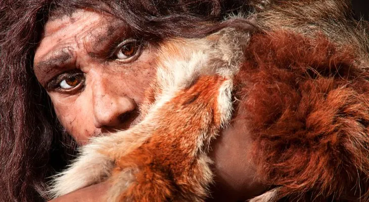 Neandertales arquitectos: gran hallazgo prehistórico