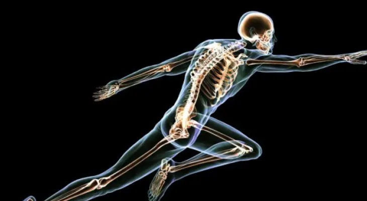 13 consejos para cuidar la salud de tus huesos