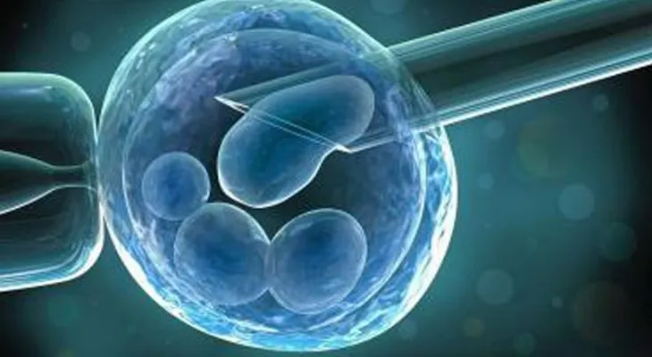 Logran convertir piel humana en células madre