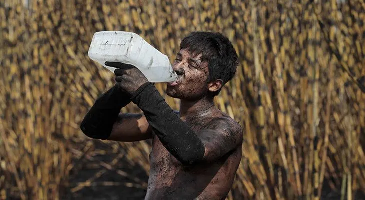 Una letal enfermedad que azota Centroamérica podría estar relacionada con el cambio climático