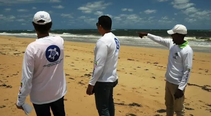 Técnicos supervisan los primeros anidamientos de tortugas de la temporada