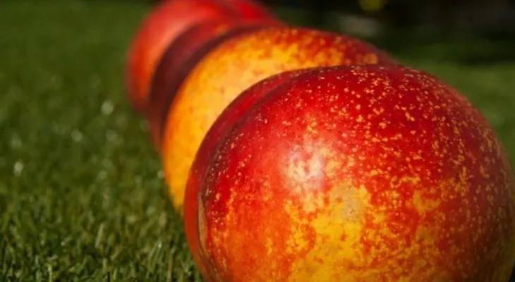 Comer frutas durante el embarazo aumentará el desarrollo cognitivo de los bebés