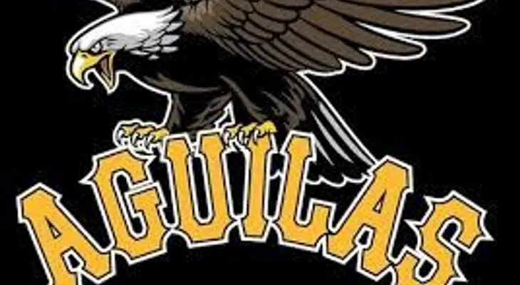El bajo desempeño de las Aguilas y dónde buscar sus culpables