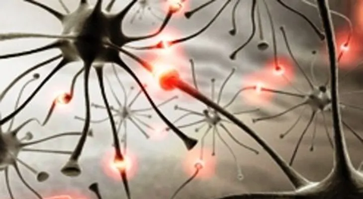 ¿Hay relación entre la epilepsia y la esquizofrenia? 