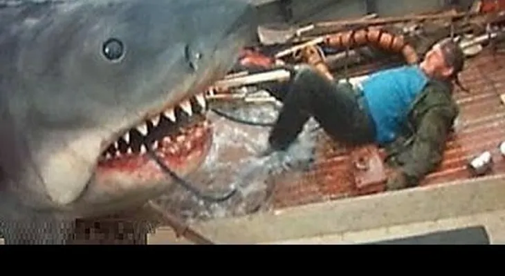 Un tiburón se come a un hombre (VIDEO)
