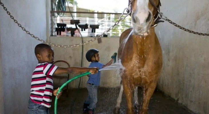 En Haití, usan caballos para terapia de niños con discapacidad