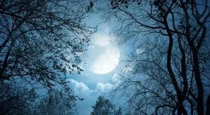 5 formas en que la luna afecta tu salud