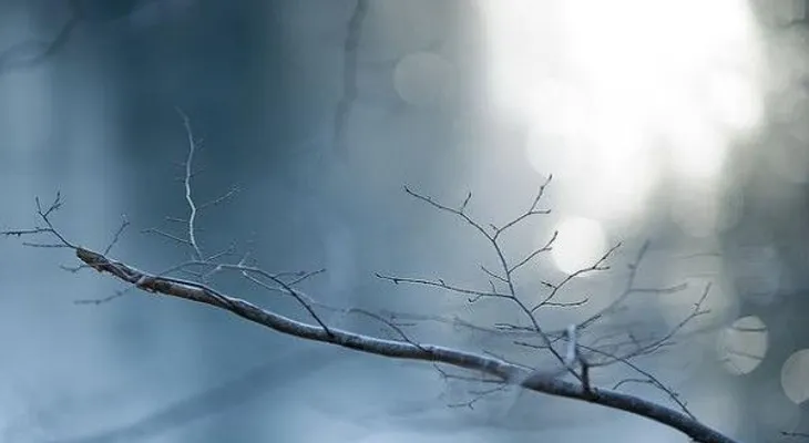 Los nacidos en invierno tienen más riesgo de padecer esquizofrenia