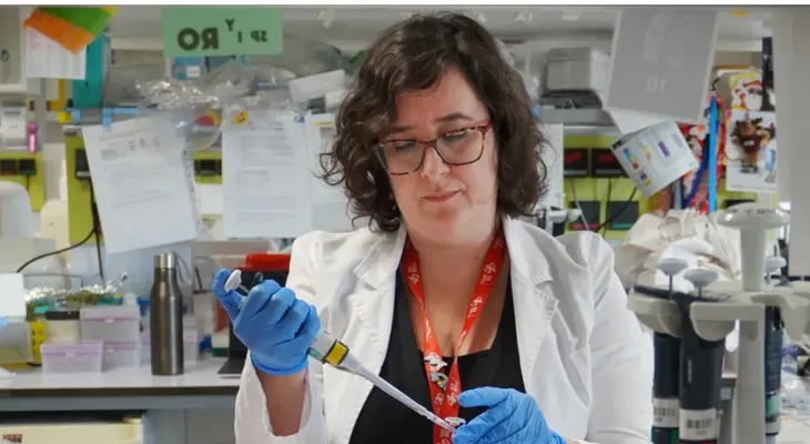 Una terapia experimental logró rejuvenecer células madre de la sangre