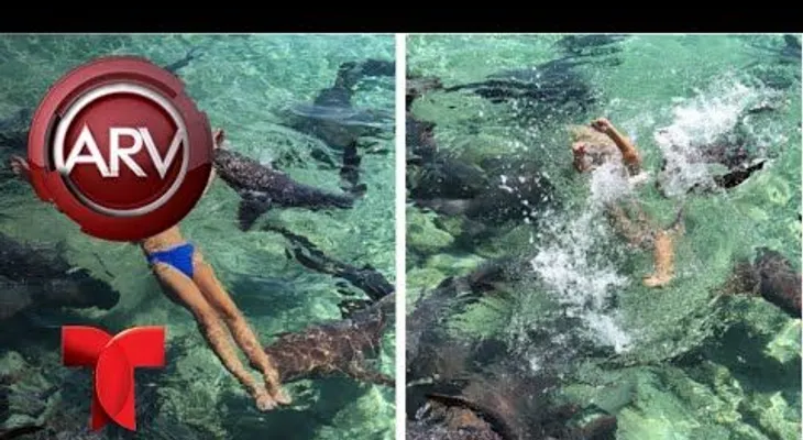Tiburón muerde modelo en sesión de fotos muy sensuales
