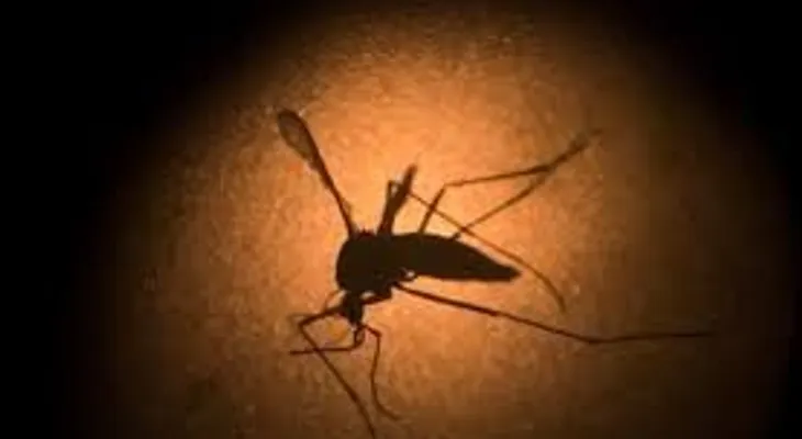 Advierten a diabéticos por efectos del zika