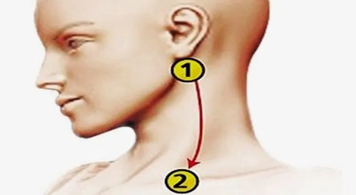 Reducir la presión arterial en 5 minutos: Medicina China