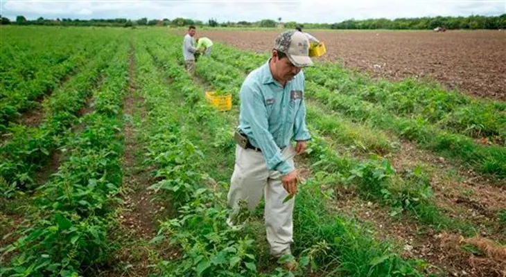 La granja de 1,4 millones de dólares que se alquila por 2 dólares al año