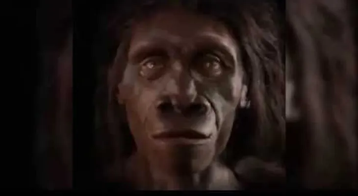 6 millones de años en un minuto: cómo ha evolucionado el rostro humano