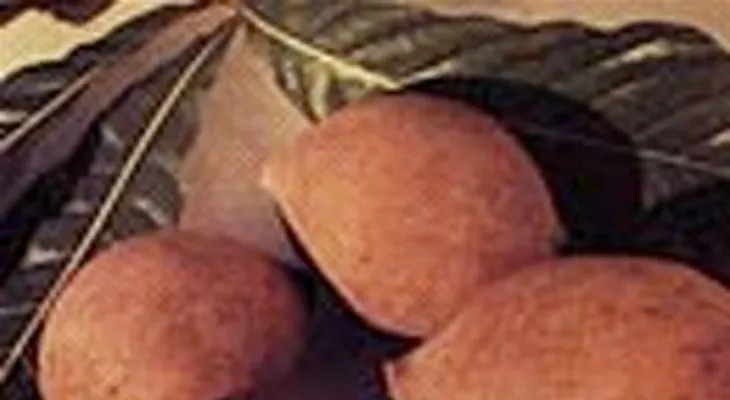 La jagua, fruta refrescante y medicinal, usada también para combatir picaduras de mosquitos