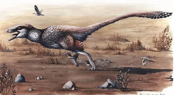 Nace el mayor raptor con plumas