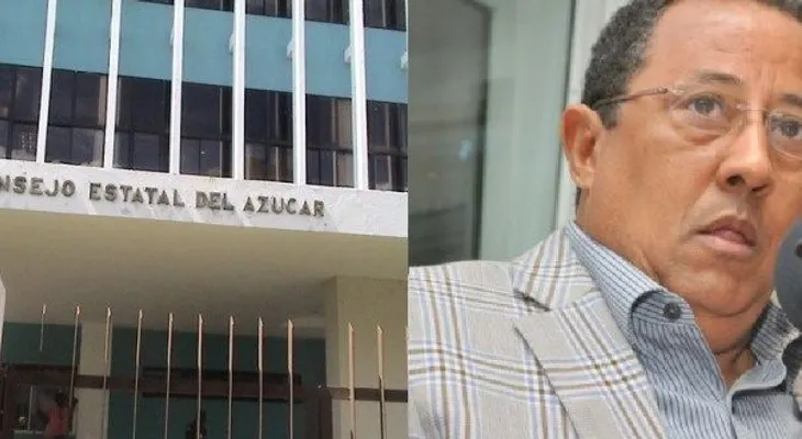 Corrupción en el CEA es vieja: auditoría de la Cámara de Cuentas revela pagos y donaciones irregulares 