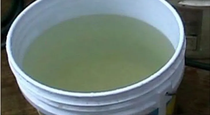 Niño muere ahogado dentro de cubeta de agua en ensanche Altagracia