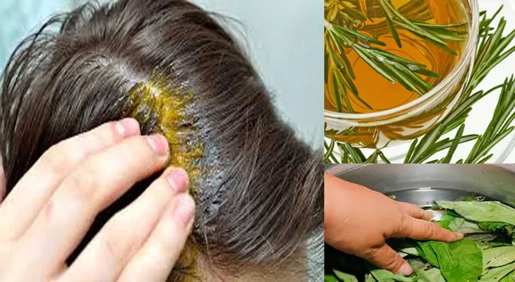 El romero, la salvia, el té negro para cubrir las canas 