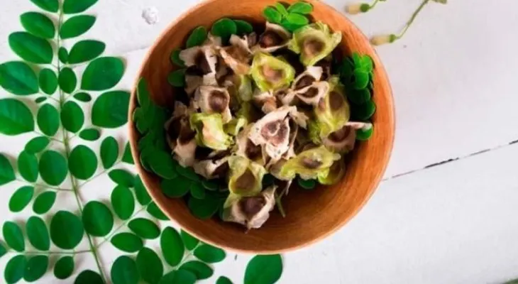 Las semillas de moringa: propiedades, beneficios y consumo correcto