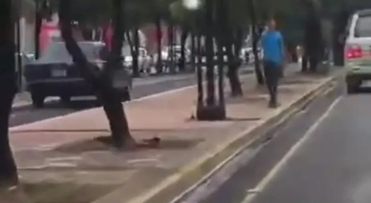 Reportan a otro vehículo sobre "Circuito Bici Santo Domingo"