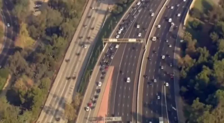 Un ganso imperturbable paraliza el tráfico de toda una carretera