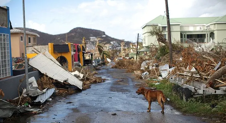  "Dominica ha sido devastada como Barbuda" 