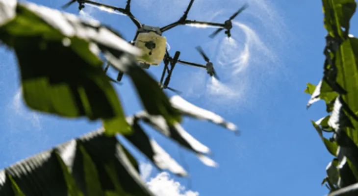 Sector agropecuario dominicano demanda tecnología, formación y relevo generacional