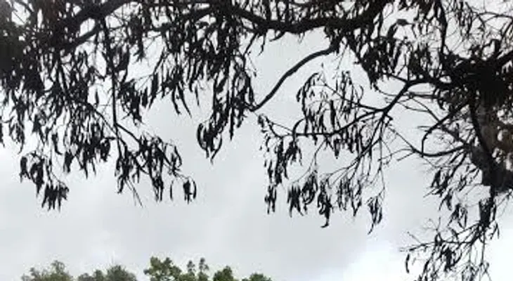Incendio consume varias viviendas en sector de Puerto Plata