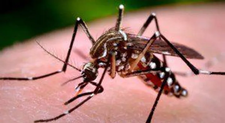 Nicaragua declara alerta sanitaria nacional por chikungunya y dengue
