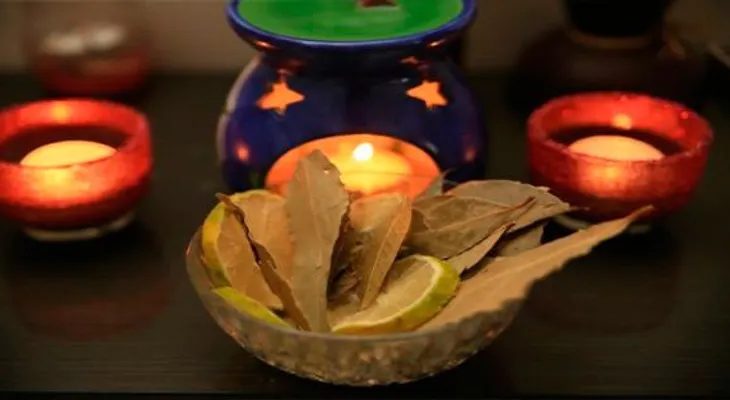 Pon esta planta en tu casa y tendrás dinero como nunca!