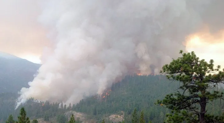 Incendios azotan a varios estados del oeste los Estados Unidos 