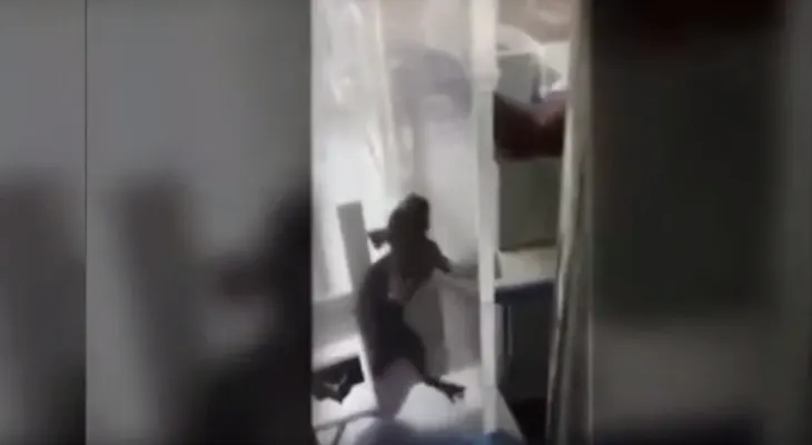 Conmoción por aparición de una rata en incubadora de un bebé (VIDEO)