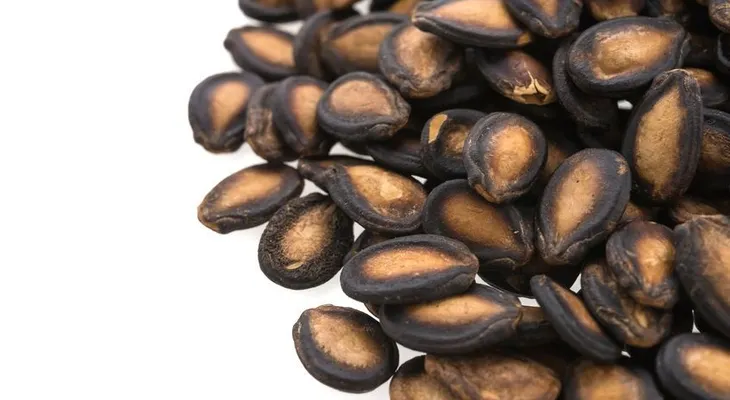 4 propiedades de la semilla de sandía 