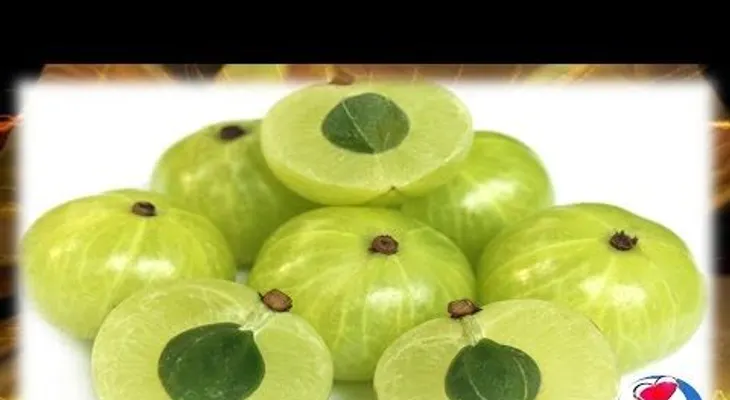 Amla (grosella espinosa india) beneficios y propiedades medicinales (VIDEO)