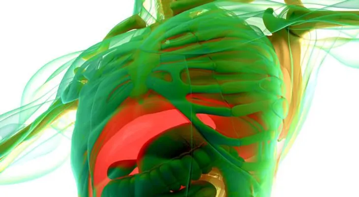 Ocho pasos para desintoxicar tu cuerpo en tres días