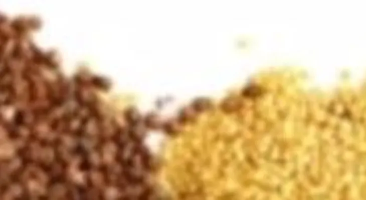 Curar el vitiligo (Video)