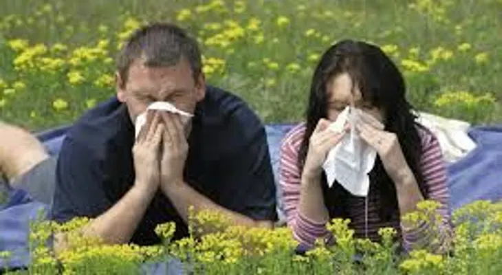 Curas para la fiebre del heno
