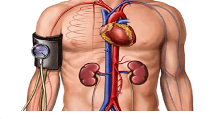 Cómo bajar la presión arterial sin usar medicamentos