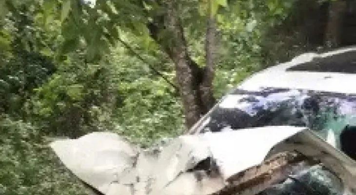 Sufre aparatoso accidente Robinson Leyer, lanzador de los Tigres