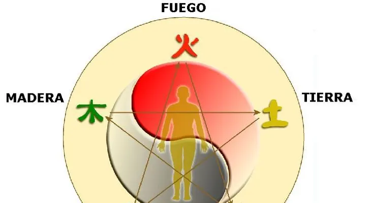 Diagnostica tu sangre menstrual II