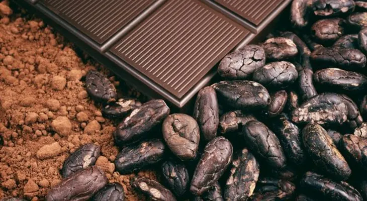 El Cacao puede Reducir el Colesterol