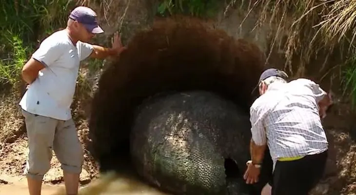Encontró un "huevo" gigante y resultó algo extraordinario