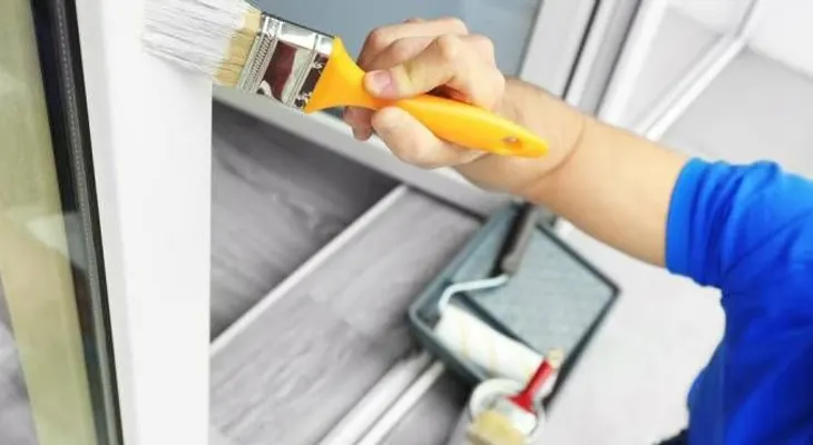  Lanzan pintura para combatir el mosquito Aedes aegypti 