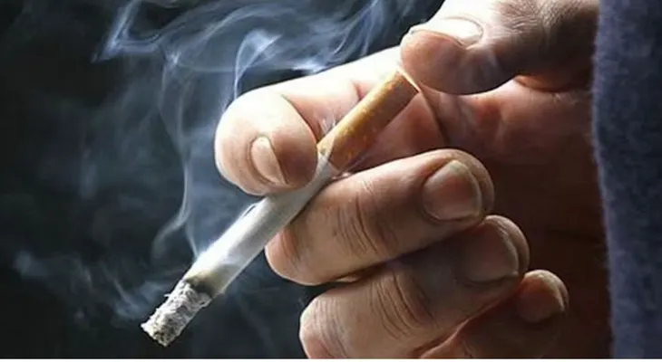 Científicos descubren cómo el cigarrillo daña pulmones y corazón