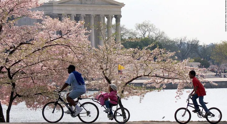 Las mejores ciudades para andar en bicicleta en Estados Unidos
