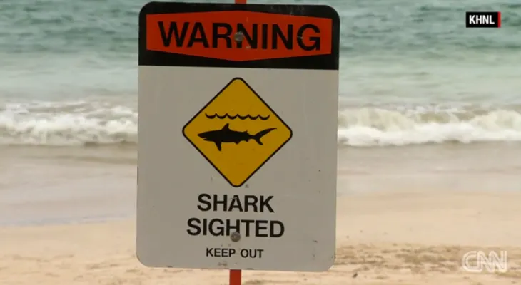 Pánico en playas de Hawai por dos ataques de tiburón